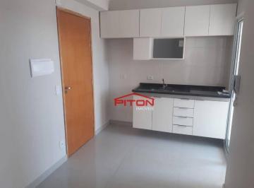 Apartamento · 32m² · 2 Quartos · Apartamento em Vila Guilhermina, São Paulo/SP de 32m² 2 quartos à venda por R$ 265.000,00