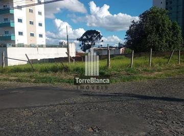 Terreno · 524m² · Terreno em Orfãs, Ponta Grossa/PR de 524m² à venda por R$ 790.000,00