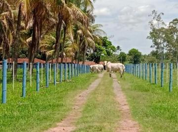 Rural · 215380m² · Chácara em Chácaras Califórnia, Araçatuba/SP de 215380m² à venda por R$ 2.700.000,00