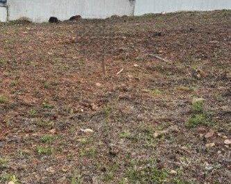 Terreno · 300m² · Terreno para venda em Jardim Vila São Domingos de 300.00m²