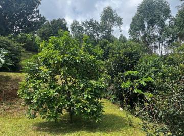 Imagem 1 · Casa para venda em Fazenda Bela Vista, Nova Friburgo
