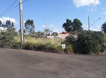 Imagem 1 · Terreno