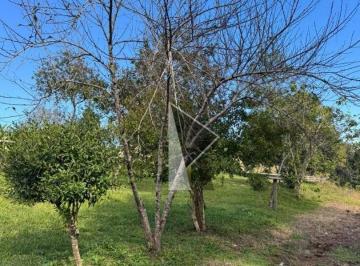 6136c70e86308a6b1d7195695bbe7b8f57595536 · Chácara à venda, 220 m² por R$ 220.000 - Rural - Apiúna/Santa Catarina