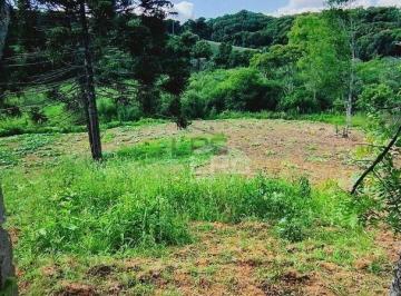 Imagem 1 · Chácara para venda em Colônia Dom Pedro II, Campo Largo