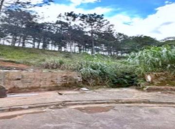 Terreno , Caieiras · Terreno à venda em Caieiras no Bairro da Vila Rosina na Rua Maria Bernarda Butler S/n
