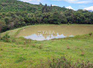 Comercial · Chacaras a venda em Quatro Barras