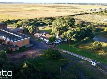 Comercial · 2000m² · 8 Quartos · 200 Vagas · Pavilhão comercial para locação, Industrial, Eldorado do Sul.