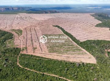 Foto 01 · Matopiba Fazendas à Venda, a 55km de Bom Jesus Pi, Palmeira do Piauí, PI