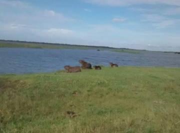 Rural de 3 quartos, Viamão · Fazenda +- 1.500.000 m² infra total / Águas Claras