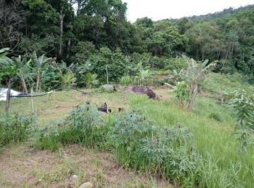 Rural de 2 quartos, Itariri · Chacara com mini cachoeira