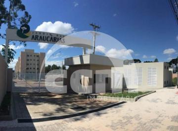 Apartamento · 50m² · 2 Quartos · Apartamento para aluguel, 2 quartos, Uvaranas - Ponta Grossa/PR