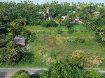 Terreno · 4000m² · Vendo Lote Comercial em Ilhéus BA – 4.000 m² no São Domingos