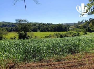 82061f1e9fb6bd5b18be4354bdcd9406f5063777 · Sítio à venda, 40000 m² por R$ 1.100.000,00 - Área Rural - Jaguariúna/SP