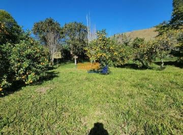 k9ntqnq2ytq3zjq0mzbjyjiz_md · Sítio, Propriedade, Chácara casa, pomar  pastagem  Santa Catarina  Anitápolis