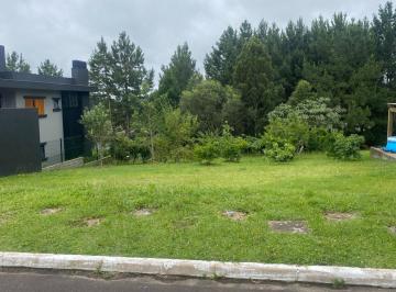 fb1a87f0-43bc-42c2-a3df-29e5ef95b574.jpeg · Terreno à venda em Gramado, Mato Queimado, 666.9m²