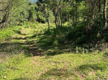 e1b413d1-51b6-43e9-b750-cfe617ee832a.jpg · Terreno à venda em Gramado, Carazal, 20000m²