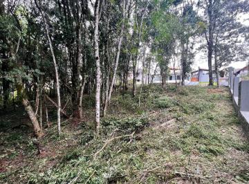 e2c54b80-722d-4eaa-83f5-8da5cf0a85c4.jpg · Lote à venda em Gramado, Carniel, 390m²