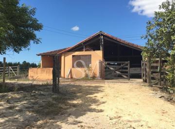Foto 60 · Fazenda à venda em São Vicente, Araruama-RJ: Rural e imobiliário de alto potencial!