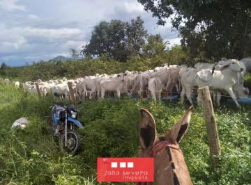 202607171718443011.jpeg · Fazenda para Venda em Peixe, 13 dormitórios