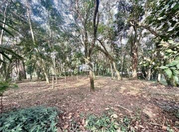 terreno a venda no condomínio sao fernando golf club · Terreno à venda - na Granja Viana