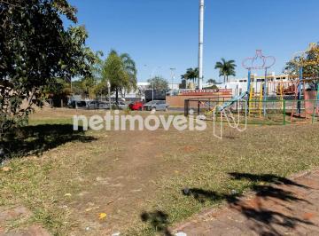 9be09f05-a38a-46ec-8e73-be56ebfb6632.webp · SHCE/SUL - CRUZEIRO NOVO - LOTE DE 150M²