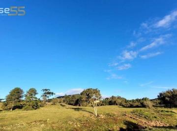 54225a26d4fc3e90543984ad214ab0e4b895ec2d · Terreno à venda, 59600 m² por R$ 4.700.000,00 - São Bento do Sul - São Bento Do Sul/SC