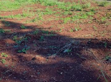 Terreno · 280m² · Terreno Padrão em Paiçandu