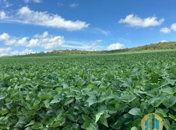 Rural · 1243m² · Fazenda à Venda – Cocalzinho de Goiás/GO