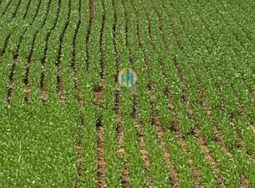 Rural · 257m² · Fazenda à Venda – Região de Brasília/DF
