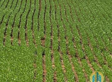 Rural · 257m² · Fazenda à Venda – Região de Brasília/DF