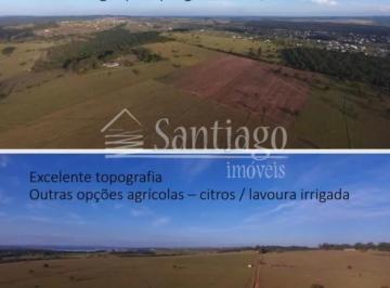 Terreno · 1900000m² · Lote / Terreno para venda em Centro de 1900000.00m²