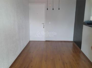 0 · Apartamento para venda ou locação no bairro Ponte Preta em Campinas.
