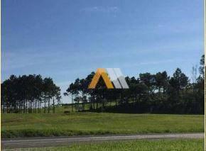 Comercial · 10m² · Imóvel Comercial para alugar em Castelo Branco de 10.00m²