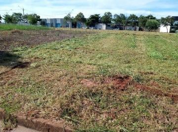 Terreno · 300m² · Terreno para venda em Parque das Árvores II de 300.00m²