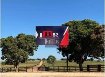 24b6b1ea20c0a2c68836694fd79c1449b01b6c42 · Fazenda em Pedro Gomes - MS