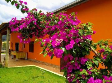 113aa22043e50e496efd55f9d1b998bc5efb0e2e · Chácara com 5 dormitórios à venda, 3200 m² por R$ 705.000,00 - Itapeva - Itapeva/MG