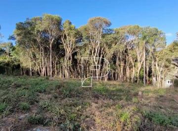 d032df2103f492ec167c5c72c3ebc676a040aa73 · Terreno à venda, 1500 m² por R$ 400.000,00 - Patrimônio do Carmo - São Roque/SP