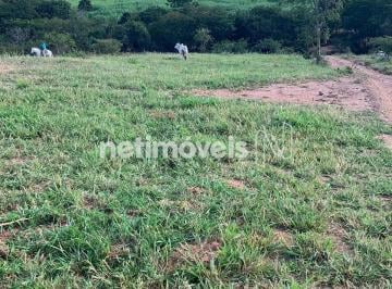 Pasto · Fazenda premium à venda em Curimataí (Arraial) – Buenópolis/MG