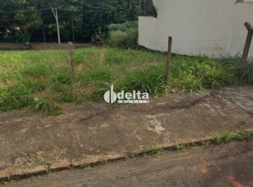 Comercial · 705m² · Área disponível para venda no bairro Daniel Fonseca em Uberlândia-MG
