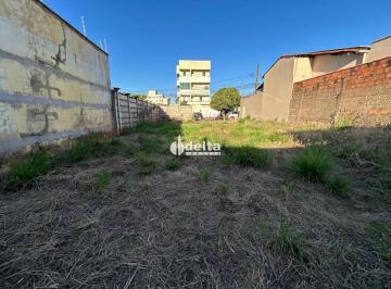 Terreno · 360m² · Terreno disponível para venda no bairro Santa Mônica em Uberlândia-MG