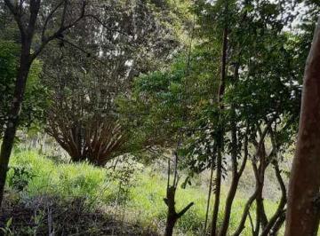 Terreno · 40000m² · Venda, àrea para projetos residenciais ou industrias em Cocuera