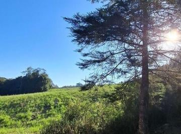 Terreno · 24000m² · Terreno em Pavão, Agudos do Sul/PR