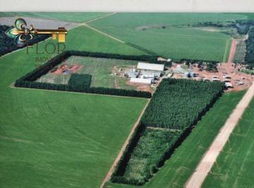 Rural · 26727m² · Fazenda com Complexo Industrial à Venda em Nova Mutum/MT - Alto Potencial Agrícola com 26.727 ha