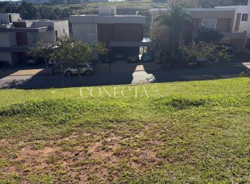 Foto 1 · Burle Marx