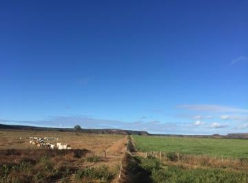 Rural · 89000000m² · Fazenda 8900 hectares à Venda no sul do Piauí