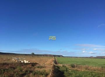 Rural · 89000000m² · Fazenda 8900 hectares à Venda no sul do Piauí