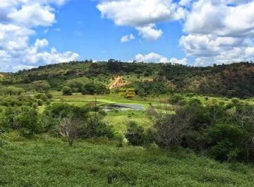 Rural · 99000000m² · Fazenda 9900 hectares à Venda na Chapada Diamantina/BA