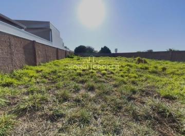 Foto 01 · Terreno à venda em São José do Rio Preto-SP, Residencial Vista Alegre II e III (Zona Rural) com 500m