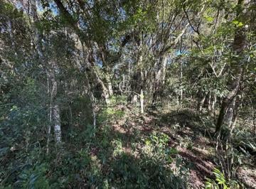 Rural , Piraquara · ÁREA À VENDA NA VILA FUCK EM PIRAQUARA-PR