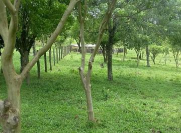 Casa · 380m² · 3 Quartos · 12 Vagas · Rural, Centro, Piedade, SP